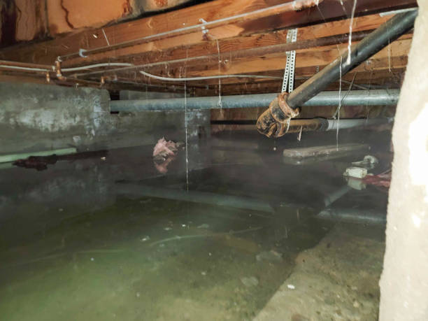 Best Water damage cleanup near me  in Fairfax, OK