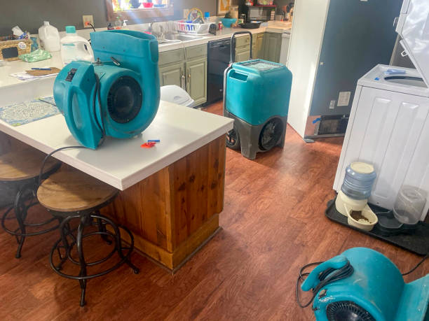 Best Ceiling water damage repair  in Fairfax, OK