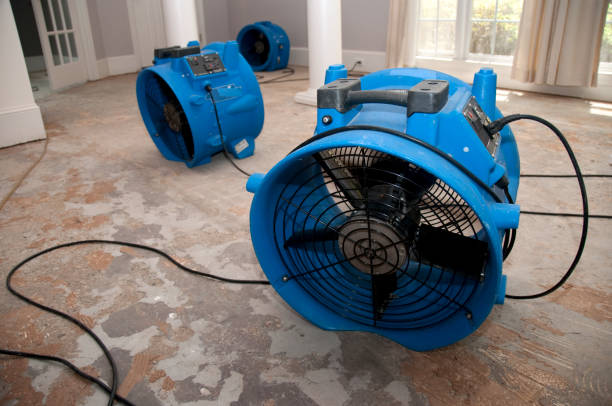 Best Carpet water damage restoration  in Fairfax, OK